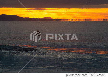 Surfers waiting for waves in the morning Shonan sea 88852585