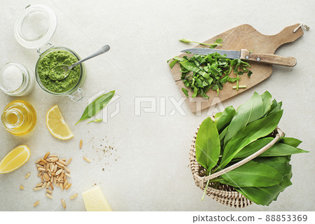 Wild garlic ramson pesto Wild garlic ramson pesto 88853369