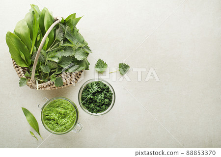 Pesto ramson wild garlic nettle Pesto ramson wild garlic nettle 88853370