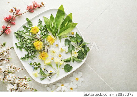 Spring plants Spring plants 88853372