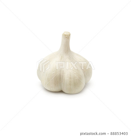 大蒜大蒜插圖單獨 88853403