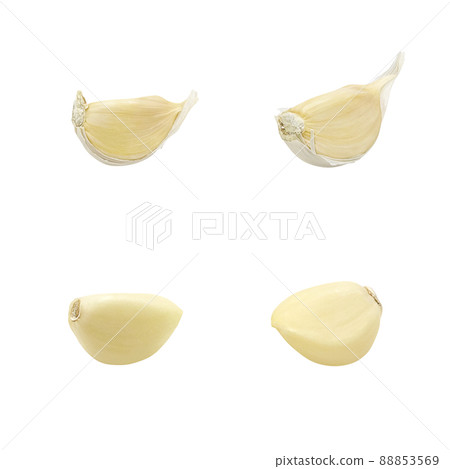Garlic garlic illustration real set Garlic garlic illustration real set 88853569