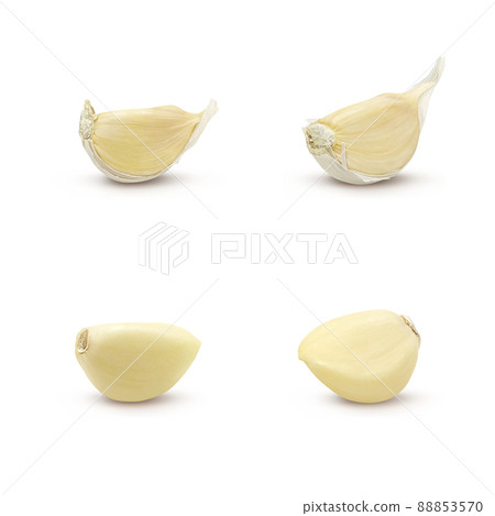 Garlic garlic illustration real set 88853570