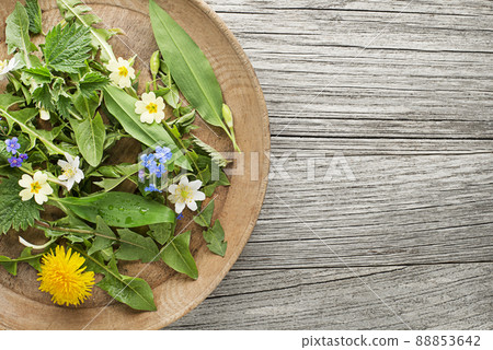 Spring plants food Spring plants food 88853642