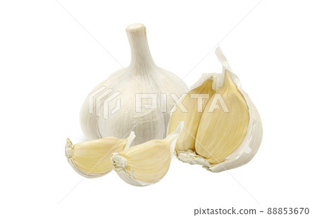 大蒜大蒜插畫實拍 88853670