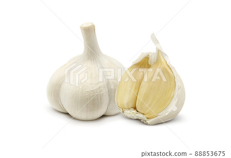 大蒜大蒜插畫實拍 88853675