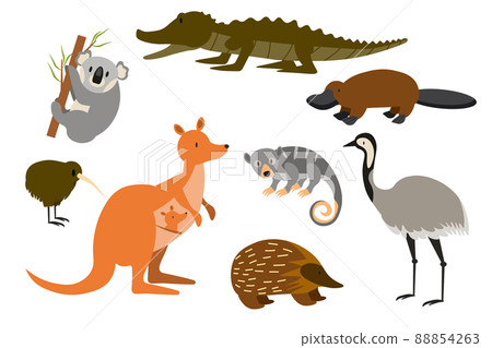 Australian animals in cute cartoon vector set. Funny illustrations of rare and unique fauna of Australia EPS 88854263