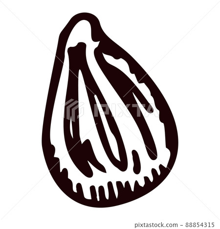 Engraving seed of lemon isolated on white background. Hand drawn lemon or lime stone. 88854315