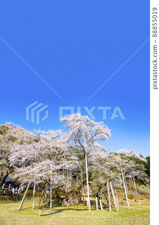 Neno valley Mombakura 88855019