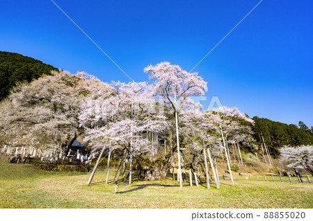 Neno valley Mombakura 88855020