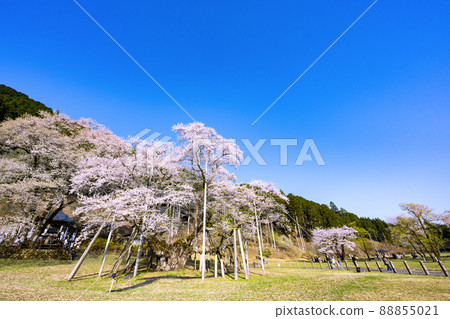 Neno valley Mombakura 88855021