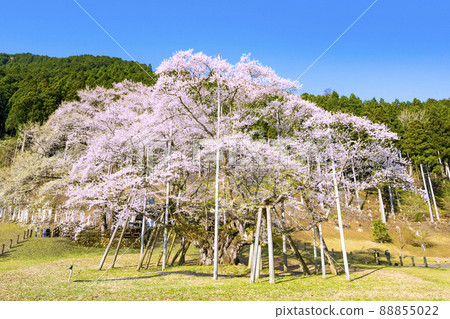 Neno valley Mombakura 88855022