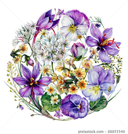 Hand Drawn Watercolor Floral Decoration Isolated on White. Spring Flowers Arrangement in Vintage Style. 88855540