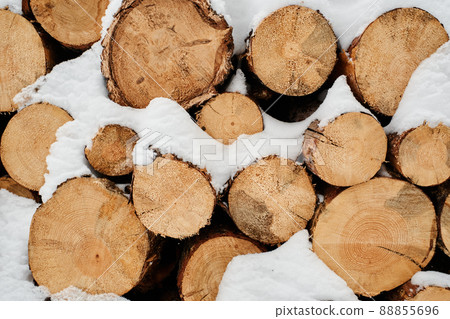 Close-up of dry chopped firewood forming woodpile covered with snow Close-up of dry chopped firewood forming woodpile covered with snow 88855696