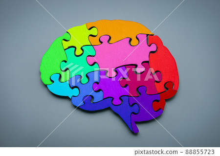 Neurodiversity concept. Brain from colorful puzzle pieces. 88855723