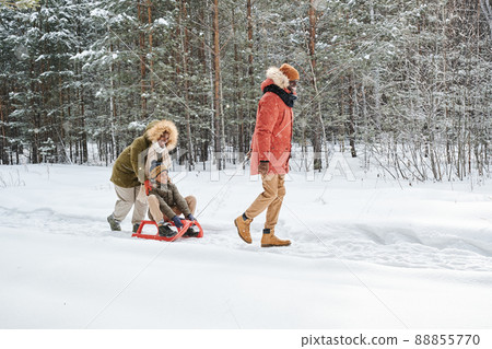 Happy young family of three in winterwear sledging along road between trees Happy young family of three in winterwear sledging along road between trees 88855770