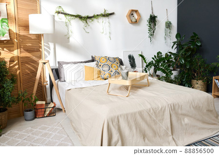 Image of cozy bed with wooden tray on it in modern bedroom with plants Image of cozy bed with wooden tray on it in modern bedroom with plants 88856500