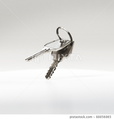 Two keys on a ring. 88856865