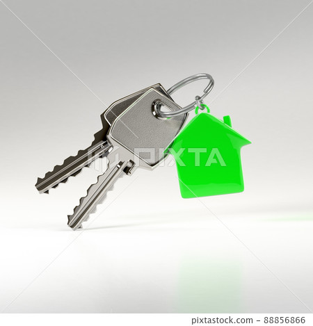 Keys with a house pendant 88856866