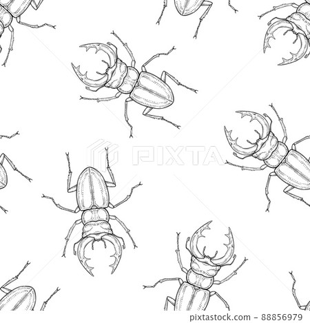 Seamless pattern of monochrome stag beetle illustration. Vector illustration template Seamless pattern of monochrome stag beetle illustration. Vector illustration template 88856979