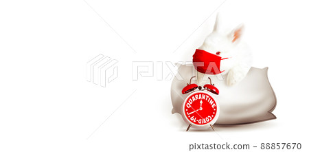 Easter rabbit with medical mask at epidemic time 88857670