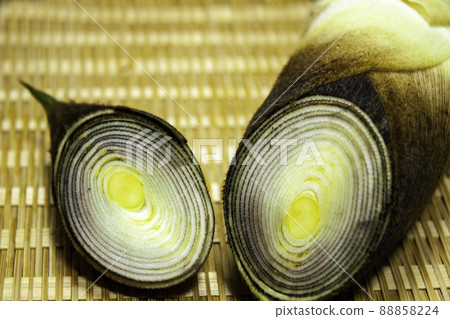 竹筍橫切面（上） 88858224