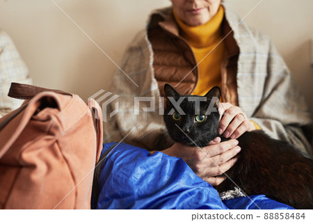 Woman with Cat in Refugee Shelter 88858484