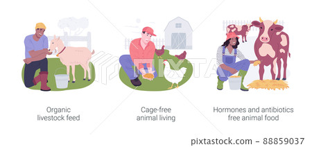 Organic livestock farming isolated cartoon vector illustrations set. 88859037