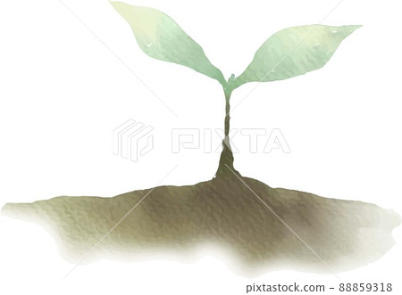 Watercolor Futaba, bud 88859318