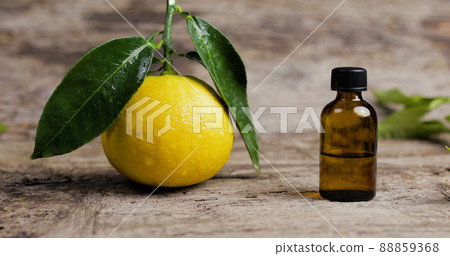 Basket full of Bergamot orange tree on the table Basket full of Bergamot orange tree on the table 88859368