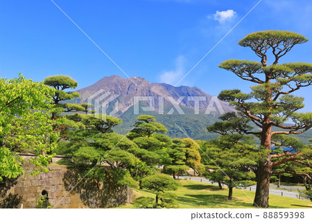 [鹿兒島縣]晴空下從仙岩園看到的櫻島 88859398