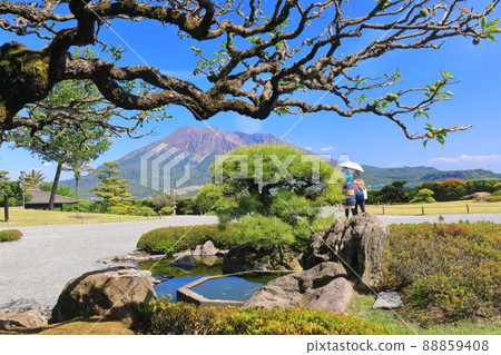 [鹿兒島縣]晴空下從仙岩園看到的櫻島 88859408