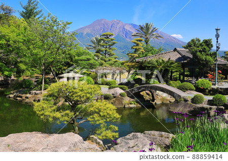 [Kagoshima Prefecture] Sakurajima seen from Sengan-en under clear skies 88859414