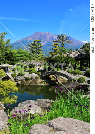 [鹿兒島縣]晴空下從仙岩園看到的櫻島 88859419