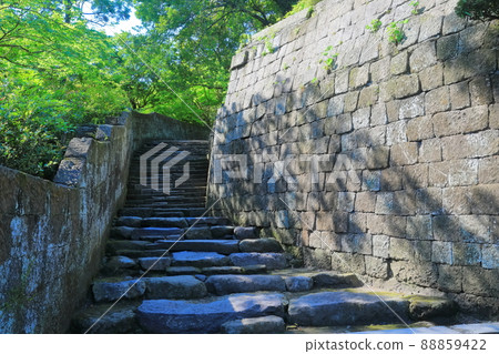 [鹿兒島縣]新鮮的綠色仙岩園石階 88859422