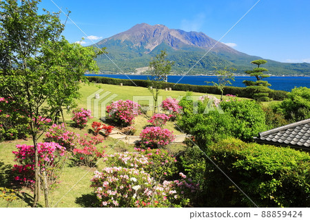 [Kagoshima Prefecture] Sakurajima seen from Sengan-en under clear skies 88859424