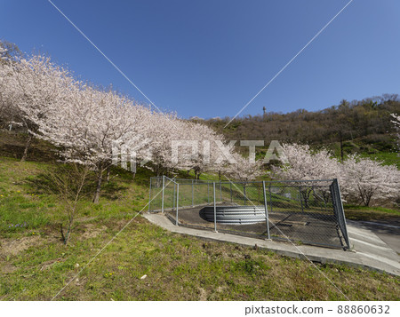 龜瀨路滑坡地區的春天 龜瀨路滑坡地區的春天 88860632