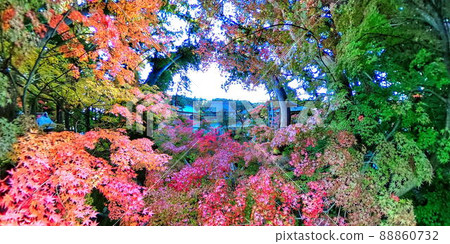 七色紅葉正善寺（長野市） 88860732