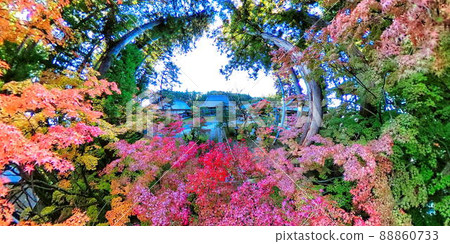 七色紅葉正善寺2(長野市) 七色紅葉正善寺2(長野市) 88860733