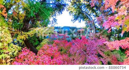 七色紅葉正善寺3(長野市) 七色紅葉正善寺3(長野市) 88860734