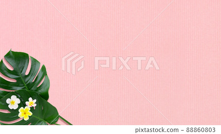 Tropical atmosphere background material Tropical atmosphere background material 88860803