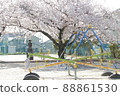 Playset in the park with beautiful cherry blossoms 88861530