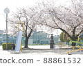 A park with beautiful cherry blossoms that came to play with children 88861532