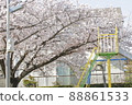 A slide in a park with beautiful cherry blossoms that came to play with children 88861533