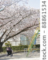 A park with beautiful cherry blossoms and a stroller 88861534