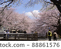Spring in full bloom Beautiful cherry blossoms Pink Sakura Aozora River 88861576