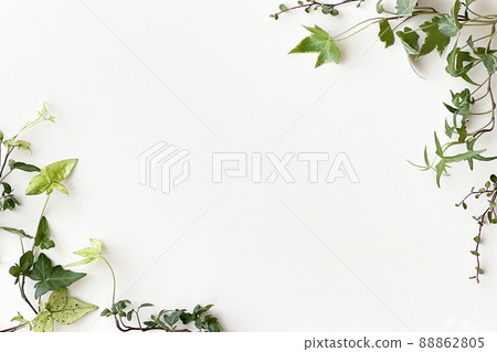 Ivy frame white backboard Ivy frame white backboard 88862805