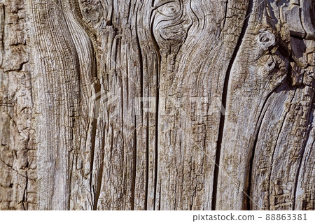 Old Wood Texture 88863381