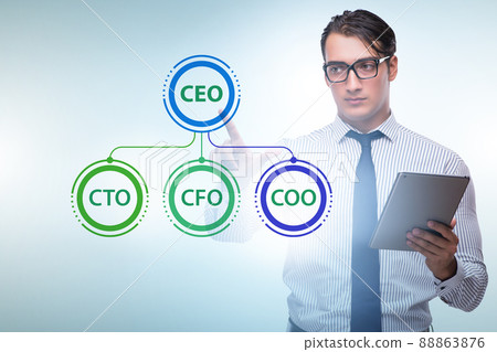 Businessman in the organisation chart concept 88863876