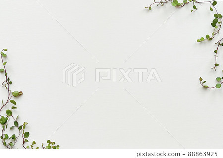 Green leaf frame white backboard 88863925